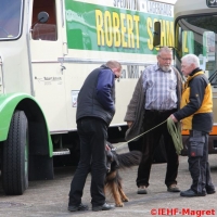 Nutzfahrzeugtreffen 2013